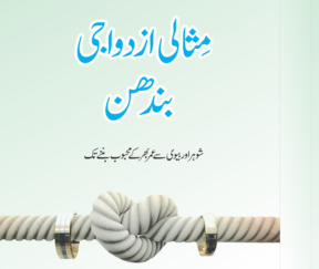 Misali Izdawaji Bandhan